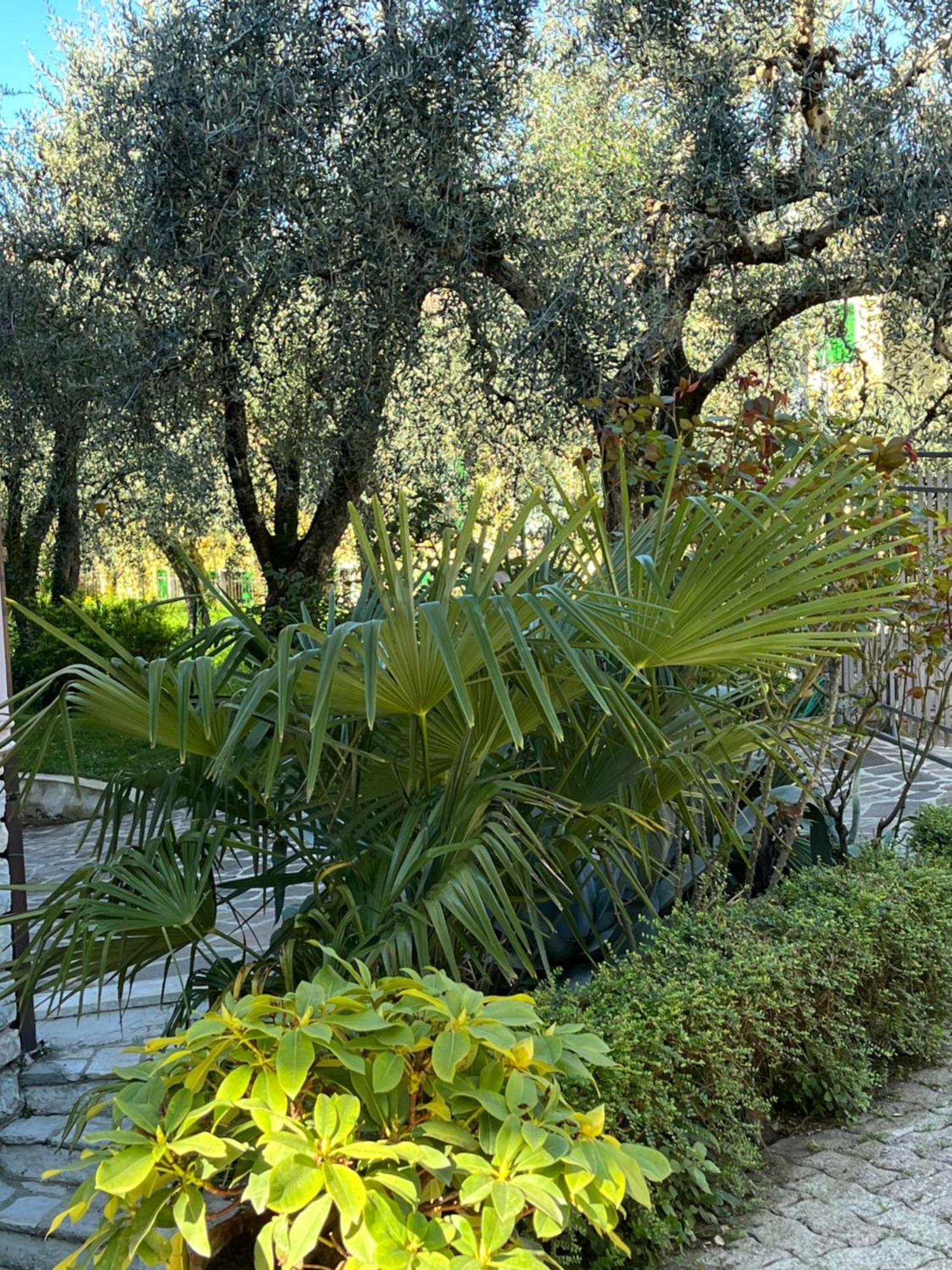 דירות מאלצ'סינה Casa Noario מראה חיצוני תמונה
