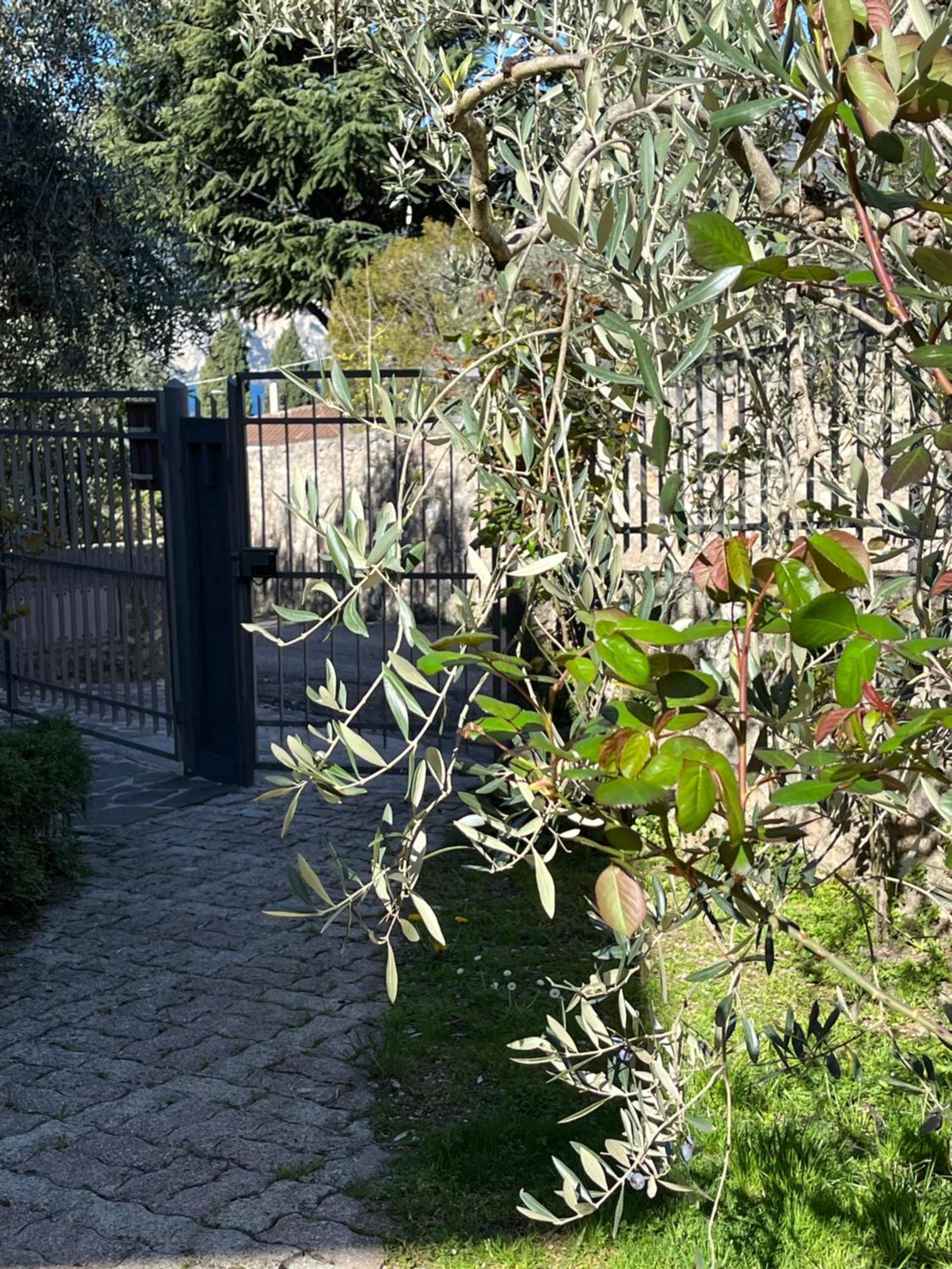 דירות מאלצ'סינה Casa Noario מראה חיצוני תמונה